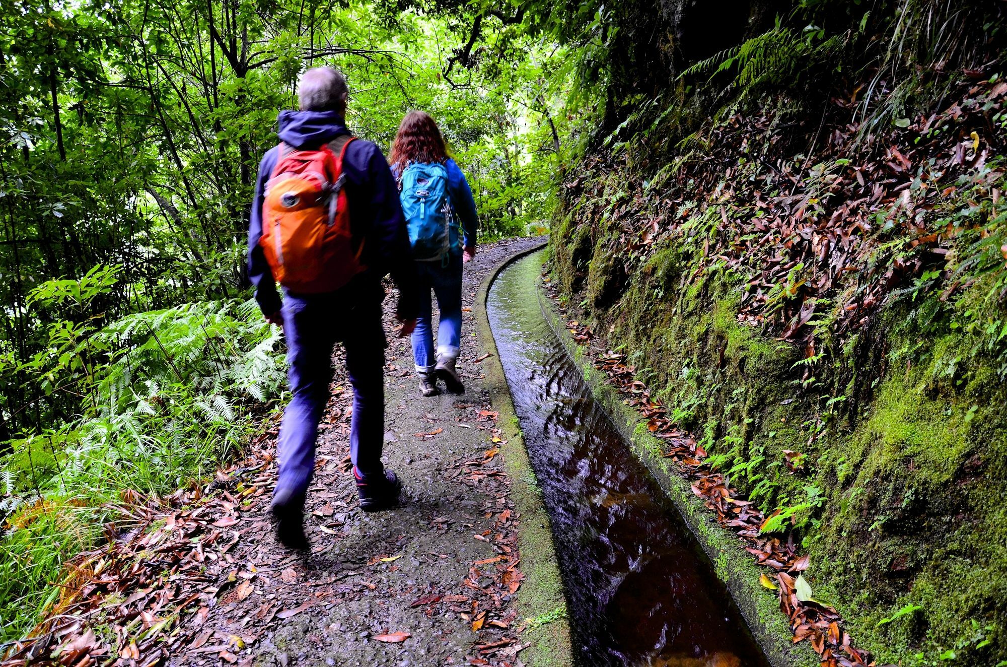 Vila Toca Funchal  Bagian luar foto